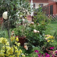 Отель B&b Al Giardino Di Alice Перуджа фото 8