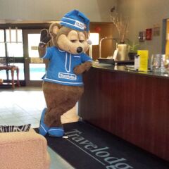 Отель Travelodge by Wyndham Ottawa East Канада, Оттава - отзывы, цены и фото номеров - забронировать отель Travelodge by Wyndham Ottawa East онлайн питание фото 3