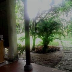 Отель Tropical Garden Homestay Villa фото 4