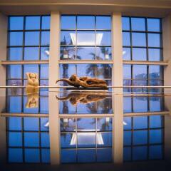Cavalieri Art Hotel фитнесс-зал