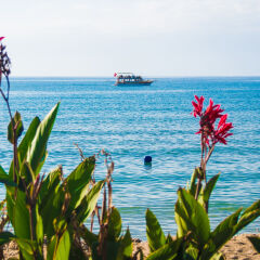 Side Kleopatra Beach Hotel Сиде пляж фото 2