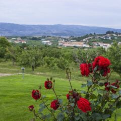 Отель House With 5 Bedrooms in Britiande, With Wonderful Mountain View, Encl фото 2