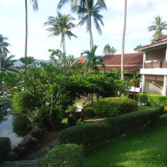 Отель Nova Samui Resort Таиланд, Самуи - 2 отзыва об отеле, цены и фото номеров - забронировать отель Nova Samui Resort онлайн фото 9