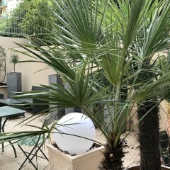 Отель ibis Nice Palais des Congrès Франция, Ницца - 1 отзыв об отеле, цены и фото номеров - забронировать отель ibis Nice Palais des Congrès онлайн фото 8