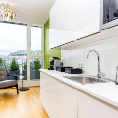 Отель Abieshomes Serviced Apartments - Votivpark Австрия, Вена - отзывы, цены и фото номеров - забронировать отель Abieshomes Serviced Apartments - Votivpark онлайн в номере фото 2