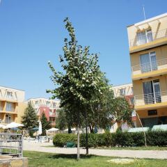 Апартаменты Quiet Family Apartment in Sunny Day