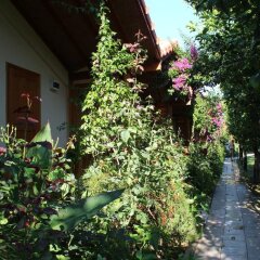 Отель Blue Paradise Pension Кемер