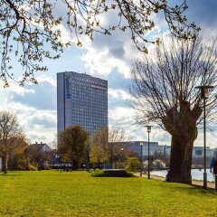 Отель Radisson Blu Scandinavia Hotel, Copenhagen Дания, Копенгаген - 2 отзыва об отеле, цены и фото номеров - забронировать отель Radisson Blu Scandinavia Hotel, Copenhagen онлайн фото 9