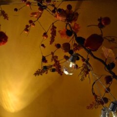 Отель B&B Le Undici Lune Италия, Сан-Джиминьяно - отзывы, цены и фото номеров - забронировать отель B&B Le Undici Lune онлайн детские мероприятия