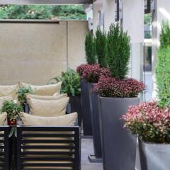 Отель The Y Hotel Греция, Кифисия - отзывы, цены и фото номеров - забронировать отель The Y Hotel онлайн помещение для мероприятий фото 2