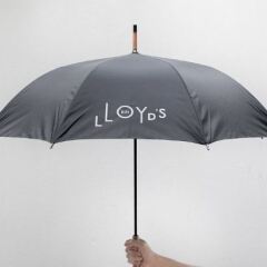 Отель Lloyds Inn
