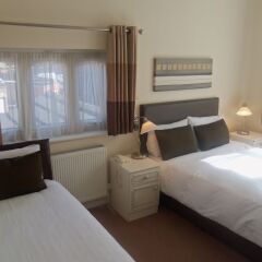 Roseview Alexandra Palace Hotel комната для гостей фото 3