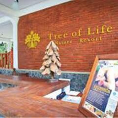 Hotel Tree of Life интерьер отеля фото 2