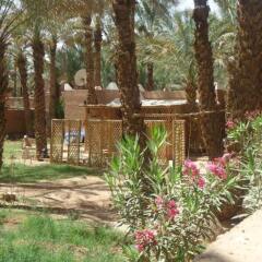 Отель Riad Tagmadart Ferme D'hôte Марокко, Загора - отзывы, цены и фото номеров - забронировать отель Riad Tagmadart Ferme D'hôte онлайн фото 3