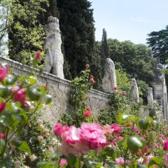 Отель Palazzina di Villa Valmarana Италия, Виченца - отзывы, цены и фото номеров - забронировать отель Palazzina di Villa Valmarana онлайн фото 2