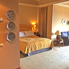 Отель Warwick Palm Beach Hotel Ливан, Бейрут - отзывы, цены и фото номеров - забронировать отель Warwick Palm Beach Hotel онлайн комната для гостей фото 4