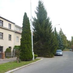 Отель Pension 21 фото 5