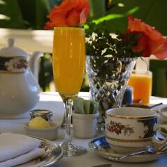 Отель Simpson House Inn США, Санта-Барбара - отзывы, цены и фото номеров - забронировать отель Simpson House Inn онлайн фото 20