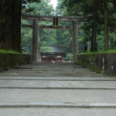 Отель Nikko Cottage FU-SHA Никко фото 2