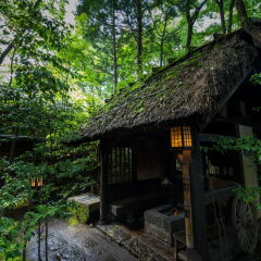 Отель Kurokawa Onsen Oyado Noshiyu Япония, Минамиогуни - отзывы, цены и фото номеров - забронировать отель Kurokawa Onsen Oyado Noshiyu онлайн фото 4