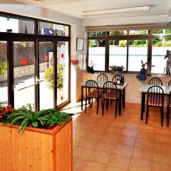 Отель Hostal Magnolia Испания, Льорет-де-Мар - отзывы, цены и фото номеров - забронировать отель Hostal Magnolia онлайн интерьер отеля