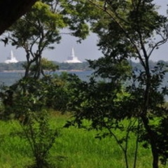 Отель Water's Edge Anuradhapura Шри-Ланка, Анурадхапура - отзывы, цены и фото номеров - забронировать отель Water's Edge Anuradhapura онлайн пляж