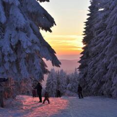 Отель Sunotel Kreuzeck пляж фото 2