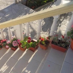 Отель Ivana Guesthouse Черногория, Тиват - отзывы, цены и фото номеров - забронировать отель Ivana Guesthouse онлайн помещение для мероприятий