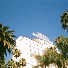 Отель Hollywood Roosevelt Hotel США, Лос-Анджелес - 1 отзыв об отеле, цены и фото номеров - забронировать отель Hollywood Roosevelt Hotel онлайн фото 8