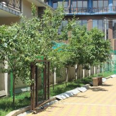 Отель Aparthotel Chetyre sezona Сочи парковка