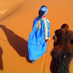 Отель Auberge Africa Марокко, Мерзуга - отзывы, цены и фото номеров - забронировать отель Auberge Africa онлайн приотельная территория фото 2