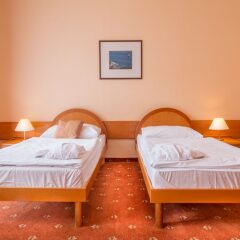 Отель Danubius Health Spa Resort Hvězda-Imperial-Neapol детские мероприятия