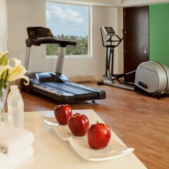 Отель NH Punta Cana Доминикана, Пунта Кана - отзывы, цены и фото номеров - забронировать отель NH Punta Cana онлайн фитнесс-зал фото 2
