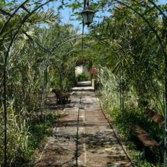 Отель Agroturismo Es Palmer фото 11