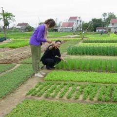 Отель le belhamy Hoi An Resort and Spa спортивное сооружение
