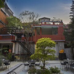 Отель OYO 131 Hotel Milarepa Непал, Катманду - отзывы, цены и фото номеров - забронировать отель OYO 131 Hotel Milarepa онлайн фото 8