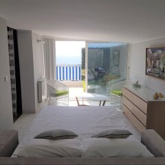 Отель Nice Booking-Domaine Fleurs-Penthouse Франция, Ницца - отзывы, цены и фото номеров - забронировать отель Nice Booking-Domaine Fleurs-Penthouse онлайн комната для гостей фото 2