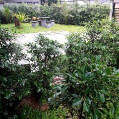 Отель Lanta K Home Ланта фото 4
