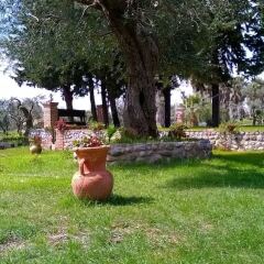 Отель Tenuta Villa Brazzano Скалея фото 8