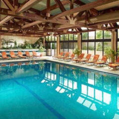 Отель Chicago Marriott Oak Brook бассейн фото 2