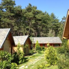 Olympos Village Ecologic Activity Hotel Кемер фото 21