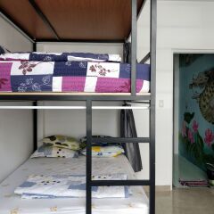 Le Petit Prince Nha Trang Hostel Нячанг развлечения