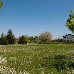 Отель Villa Pinella Прамаджоре фото 4