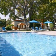 Отель Flamingo Inn бассейн