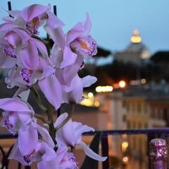 Отель Notti al Vaticano Deluxe St.Peter's Accommodation с домашними животными