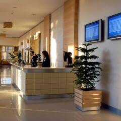 WOW Airport Hotel интерьер отеля фото 3