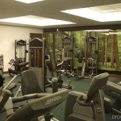 Отель Park Plaza County Hall London фитнесс-зал