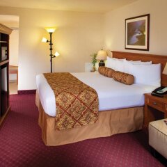 Отель Red Feather Lodge комната для гостей фото 2