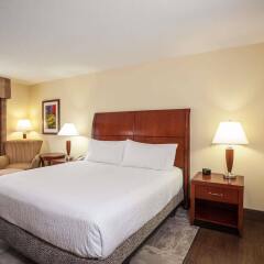 Hilton Garden Inn El Paso / University in El Paso, United States of America from 181$, photos, reviews - zenhotels.com guestroom photo 2