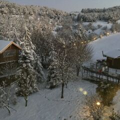 Kartaltepe Boutique Hotel Турция, Болу - 1 отзыв об отеле, цены и фото номеров - забронировать отель Kartaltepe Boutique Hotel онлайн